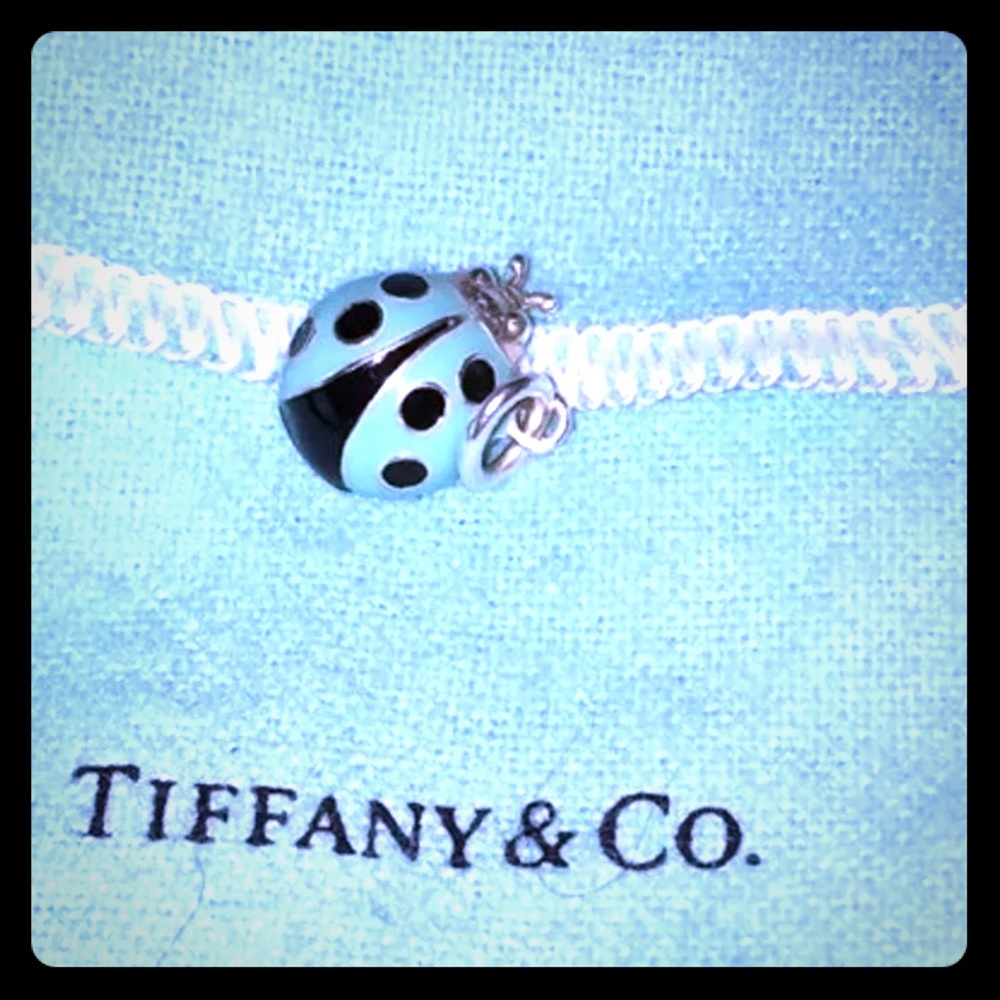 ISO WANTED-Tiffany Ladybug Charm-